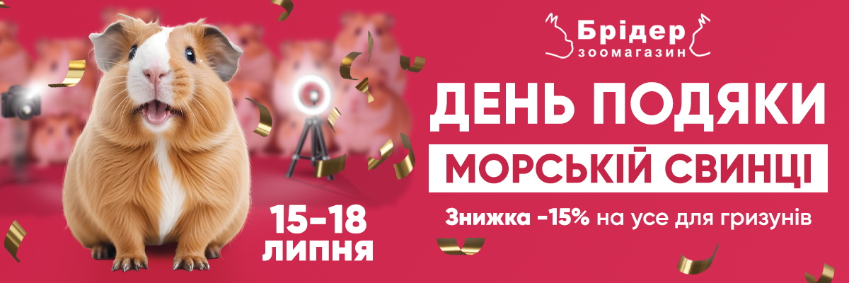 День подяки морській свинці — Знижка -15% на все для гризунів у Брідер! 🐭