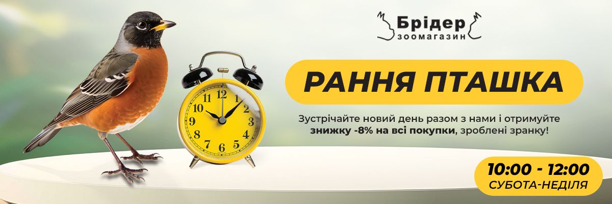 «Рання пташка» у Брідері!