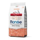 Сухий корм для дорослих собак маленьких порід Monge Dog Mini Adult лосось та рис 800 г