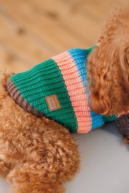 Одяг Одяг Светр Pet Fashion Happy для собак, розмір XXS