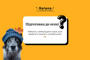 Підготовка до осені. Оберіть найкращий корм для здоров’я вашого улюбленця! 🍂