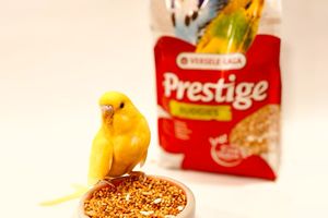Versele-Laga Prestige -  повноцінне харчування для хвилястих папужок