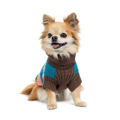 Одяг Одяг Светр Pet Fashion Happy для собак, розмір XXS