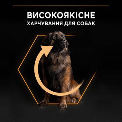 Сухий корм PRO PLAN Large Robust Adult 2+ Everyday Nutrion для дорослих собак великих порід масивної статури, з куркою, 14 кг