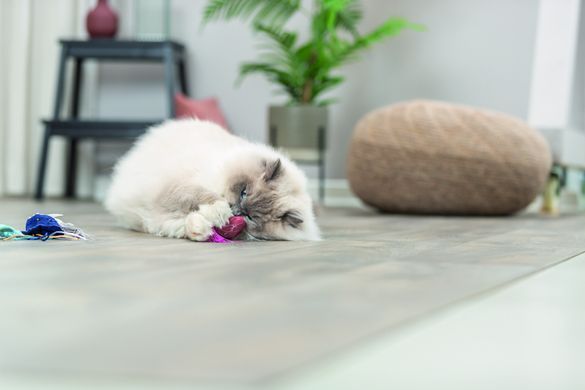 Іграшка Trixie Морські звірі плюш з котячою м'ятою для котів 5&ndash;8 см