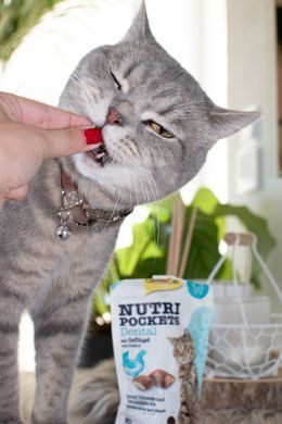 Ласощі для котів Вітамінні ласощі GimCat Nutri Pockets Dental для котів, для зубів, 60 г