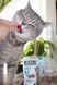Ласощі для котів Вітамінні ласощі GimCat Nutri Pockets Dental для котів, для зубів, 60 г