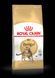 Корм для дорослих котів породи Бенгальська ROYAL CANIN BENGAL ADULT 2.0 кг
