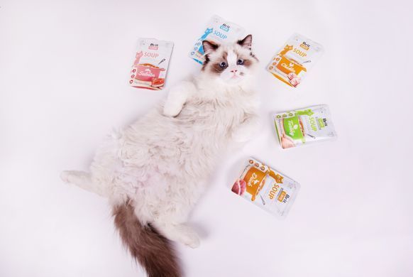 Корм вологий "Суп для котів Brit Care Soup with Chicken з куркою", 75 г