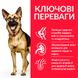 Hill’s Science Plan Mature Adult 6+ Large Breed Chicken 14 кг