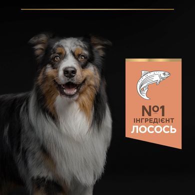 Сухий корм PRO PLAN Medium Adult 1+ Sensitive Skin для дорослих собак середніх порід, з чутливою шкірою, з лосось, 14 кг