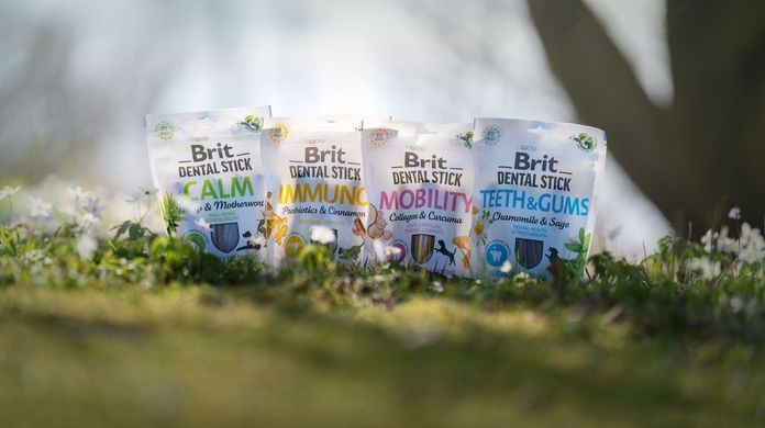 Ласощі Brit Care для собак Brit Dental Stick Mobility для мобільності суглобів, колаген та куркума, 7 шт, 251 г