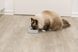 Миска Trixie Повільне годування для котів, 21х14 см, 250 мл (сіра)