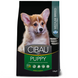 Сухий корм Farmina Cibau Puppy Medium з куркою для цуценят середніх порід, 2.5 кг