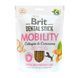 Ласощі Brit Care для собак Brit Dental Stick Mobility для мобільності суглобів, колаген та куркума, 7 шт, 251 г