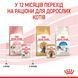 Вологий корм для кошенят (паштет) ROYAL CANIN KITTEN LOAF 85 г