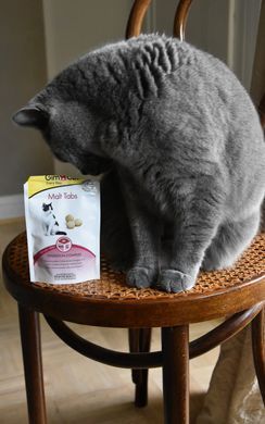 Вітаміни GimCat Every Day Malt Tabs для котів, 40 г