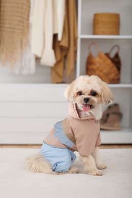 Одяг Одяг Дощовик Pet Fashion Tina для дівчаток розмір L бежевий/блакитний