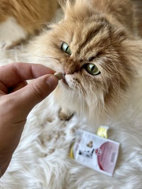 Вітаміни GimCat Every Day Malt Tabs для котів, 40 г