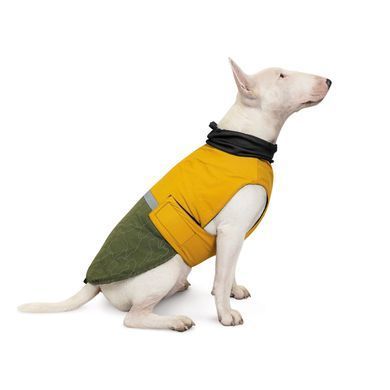 Одяг Одяг Попона Pet Fashion &laquo;Roy&raquo; для собак, розмір 2XL, хакі-гірчиця