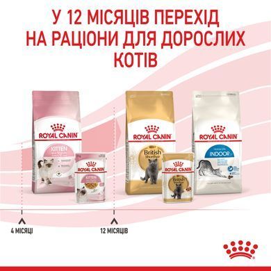 Вологий корм для кошенят ROYAL CANIN KITTEN IN JELLY 85 г