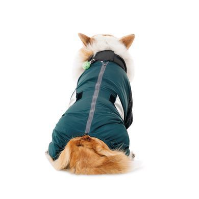 Одяг Одяг Комбінезон Pet Fashion Den для собак XL коргі