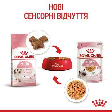 Вологий корм для кошенят ROYAL CANIN KITTEN IN JELLY 85 г