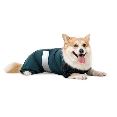 Одяг Одяг Комбінезон Pet Fashion Den для собак XL коргі