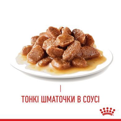 Вологий корм для дорослих котів ROYAL CANIN URINARY CARE 85 г