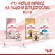 Вологий корм для кошенят ROYAL CANIN KITTEN IN JELLY 85 г