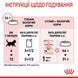 Вологий корм для кошенят ROYAL CANIN KITTEN IN JELLY 85 г