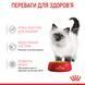 Вологий корм для кошенят ROYAL CANIN KITTEN IN JELLY 85 г