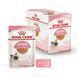 Вологий корм для кошенят ROYAL CANIN KITTEN IN JELLY 85 г