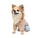 Одяг Одяг Дощовик Pet Fashion Tina для дівчаток розмір L бежевий/блакитний