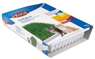 Ласощі для котів Трава Trixie Soft Grass для котів та кошенят контейнер пластик 100 г