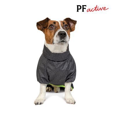 Одяг Одяг Дощовик Pet Fashion &laquo;Rain&raquo; для собак, розмір M2, сірий