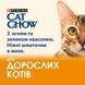 Вологий корм CAT CHOW Adult для дорослих котів, шматочки в желе, з ягням та зеленою квасолею, 85 г