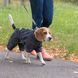 Одяг Одяг Дощовик Pet Fashion &laquo;Rain&raquo; для собак, розмір M2, сірий
