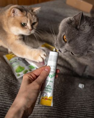 Вітаміни GimCat Expert Line Gastro Intestinal для котів, покращення травлення, 50 г