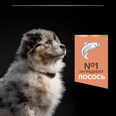 Сухий корм PRO PLAN Medium Puppy Sensitive Skin для цуценят середніх порід до року, з чутливою шкірою, з лосось, 12 кг