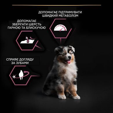 Сухий корм PRO PLAN Medium Puppy Sensitive Skin для цуценят середніх порід до року, з чутливою шкірою, з лосось, 12 кг