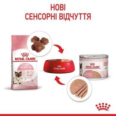 Вологий корм (мус) для кошенят віком від 1 до 4 місяців ROYAL CANIN MOTHER & BABYCAT Cans 195 г