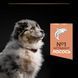 Сухий корм PRO PLAN Medium Puppy Sensitive Skin для цуценят середніх порід до року, з чутливою шкірою, з лосось, 12 кг