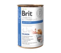 Brit VetDiets Dog & Cat Recovery Salmon 400г арт.100291