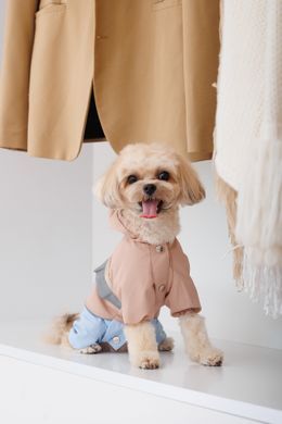 Одяг Одяг Дощовик Pet Fashion Tina для дівчаток розмір S2 бежевий/блакитний