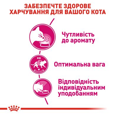ROYAL CANIN EXIGENT AROMATIC 2 кг
