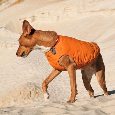 Одяг Одяг Жилет Pet Fashion &laquo;E.Vest&raquo; для собак, розмір XS2, помаранчевий