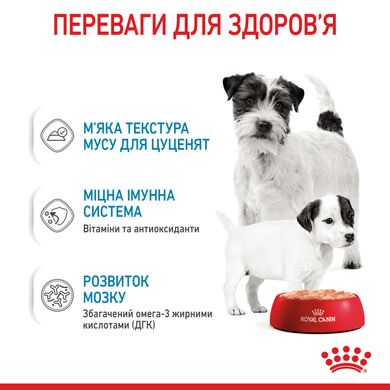 ROYAL CANIN STARTER MOUSE 195 г