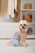Одяг Одяг Дощовик Pet Fashion Tina для дівчаток розмір S2 бежевий/блакитний