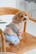 Одяг Одяг Дощовик Pet Fashion Tina для дівчаток розмір S2 бежевий/блакитний